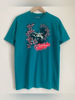 1990s Hanes Cumberland Falls waterfall nature graphic tee with pink flowers puff